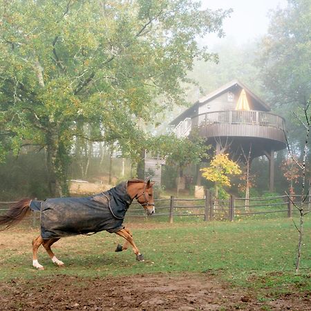 Cabane De La Mesange Auriac-du-Périgord Dış mekan fotoğraf