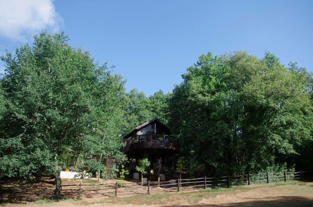 Cabane De La Mesange Auriac-du-Périgord Dış mekan fotoğraf